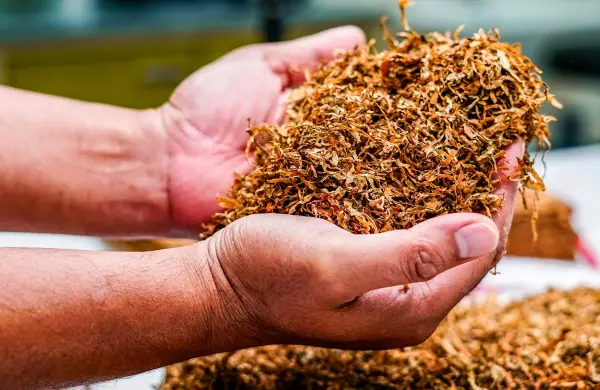 Más allá del humo: qué dice la ciencia sobre la nicotina y las alternativas al cigarrillo