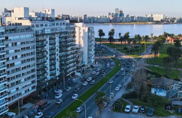 Permisos, pesos y multas: todos los datos para manejar por Uruguay este verano