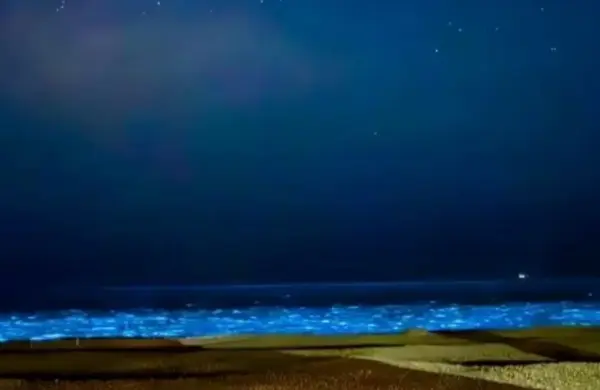 El mar de Punta del Este tiene luz propia: el fenómeno natural que atrae a los turistas