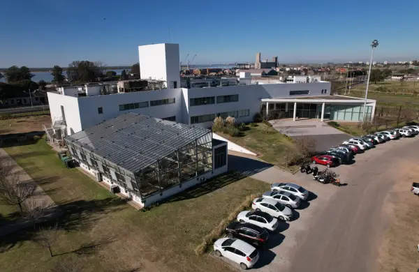 Bioceres S.A. inició un proceso de concurso de acreedores por incumplimientos financieros y caída de ingresos