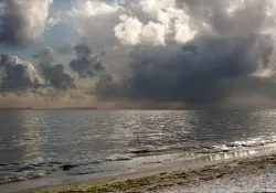 Cinco planes para disfrutar Punta del Este cuando llueve: arte, gastronomía y vinos de autor