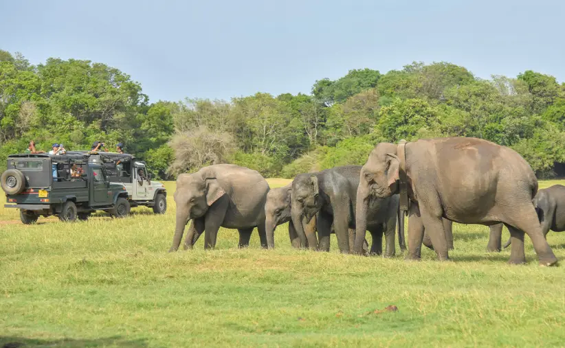 Sri Lanka (Photo by Krishan Kariyawasam / Getty Images)