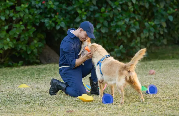 Cuando cuidar también es prevenir: BBVA Seguros y la nueva forma de querer a nuestras mascotas