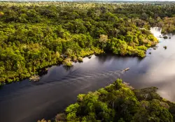 Dentro de la selva amazónica: el destino brasileño que es tendencia para los argentinos en 2026