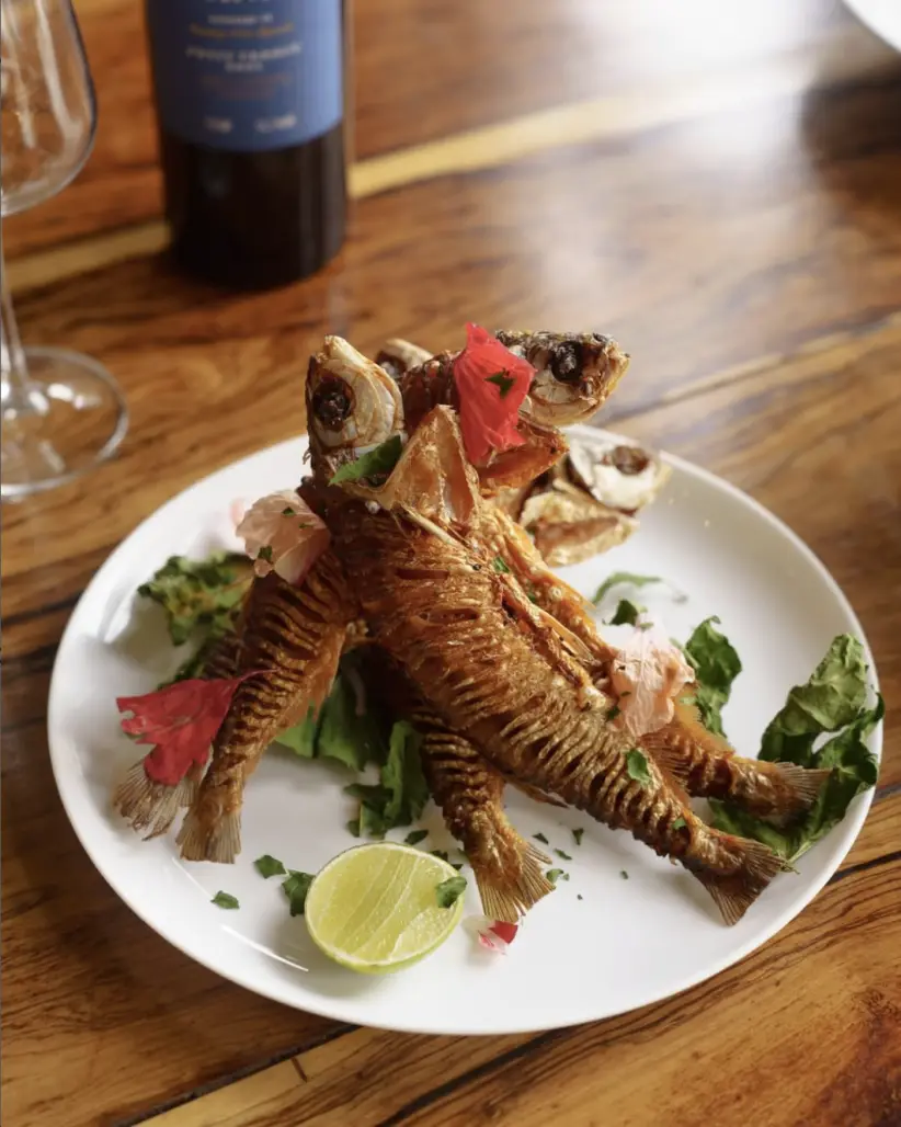 captura de pantalla 2026-01-20 a la(s) 5.58.23 p.&nbsp;m.