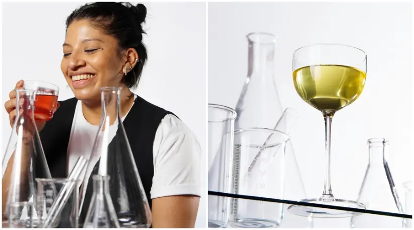 flavia arroyo casa cavia prototipo cero