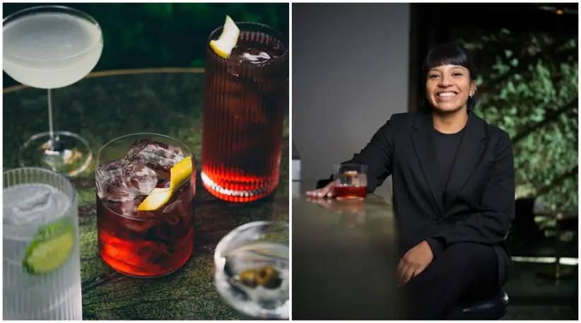 flavia arroyo casa cavia prototipo cero barra