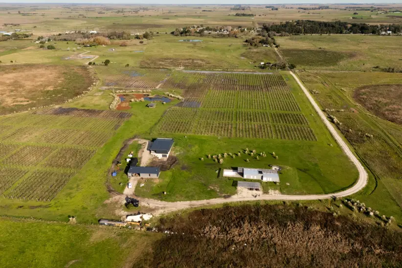 Bodega Gamboa. Madariaga