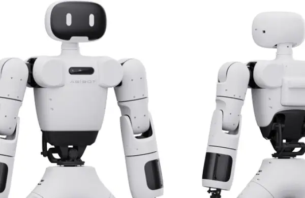 Ahora podes alquilar este robot por US$ 1.000 al día: cuáles son sus habilidades