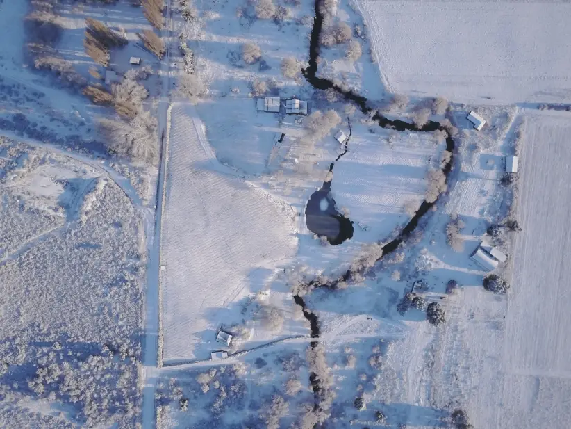 Viñas del Nant y Fall