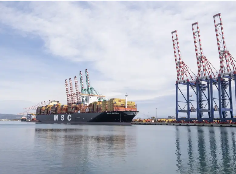 Mediterranean Shipping Company (MSC) 