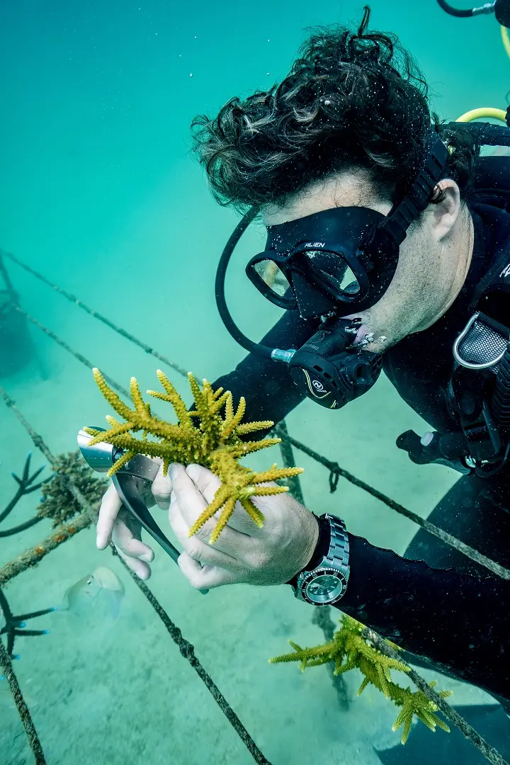 rolex coral ©Rolex/ Tim McKenna