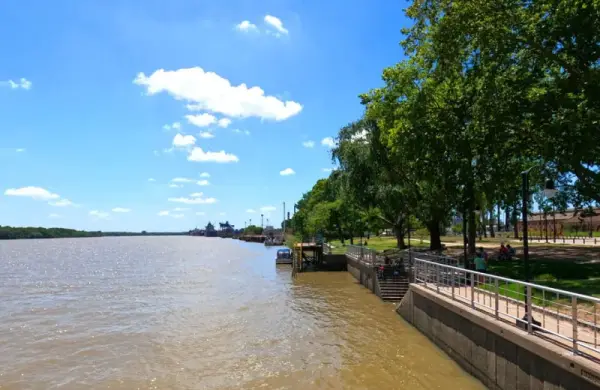 La inmobiliaria de Milei subasta un megaterreno frente al río por casi US$ 7 millones