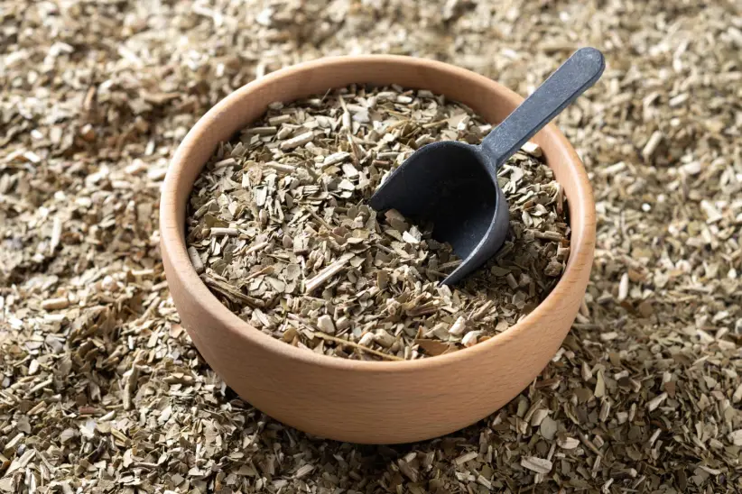 Yerba mate. Foto: Freepik