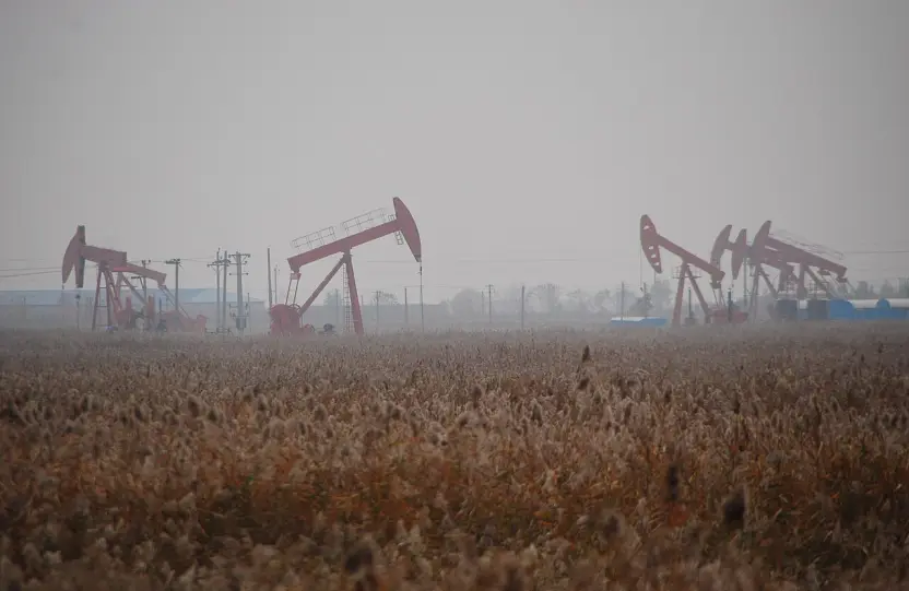 Petróleo (SE PUEDE USAR)