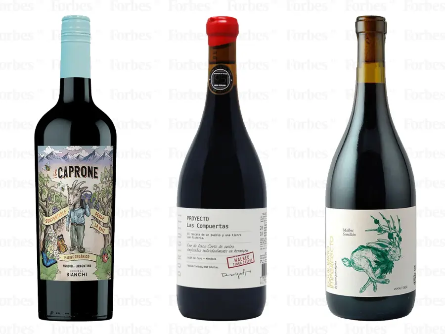 vinos positive 1 bianchi durigutti equilibrio