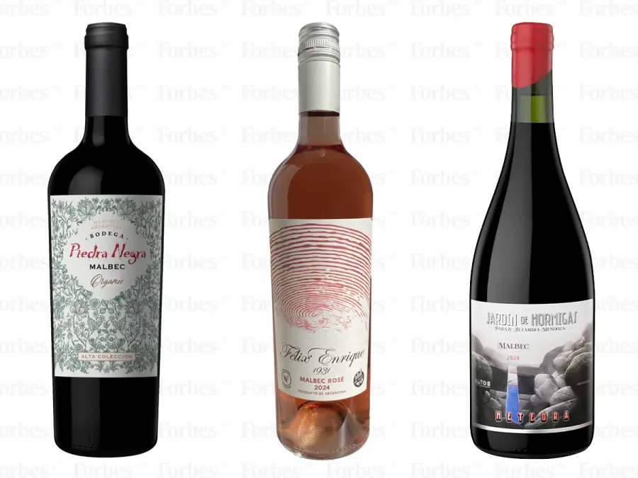 vinos positive 5 piedra negra felix enrique altos las hormigas