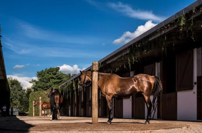 Las caballerizas de otro de los resorts de lujo del Grupo JHSF.