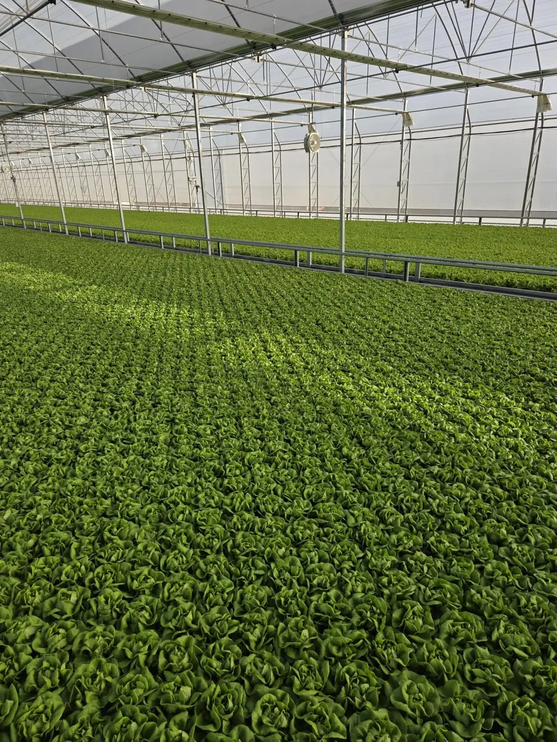 Instalaciones de VerdeAgua