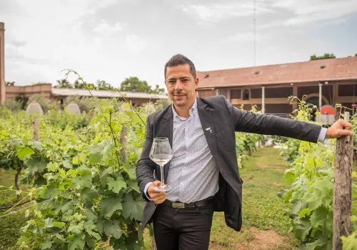“El consumidor cambió mucho más rápido que la industria del vino”