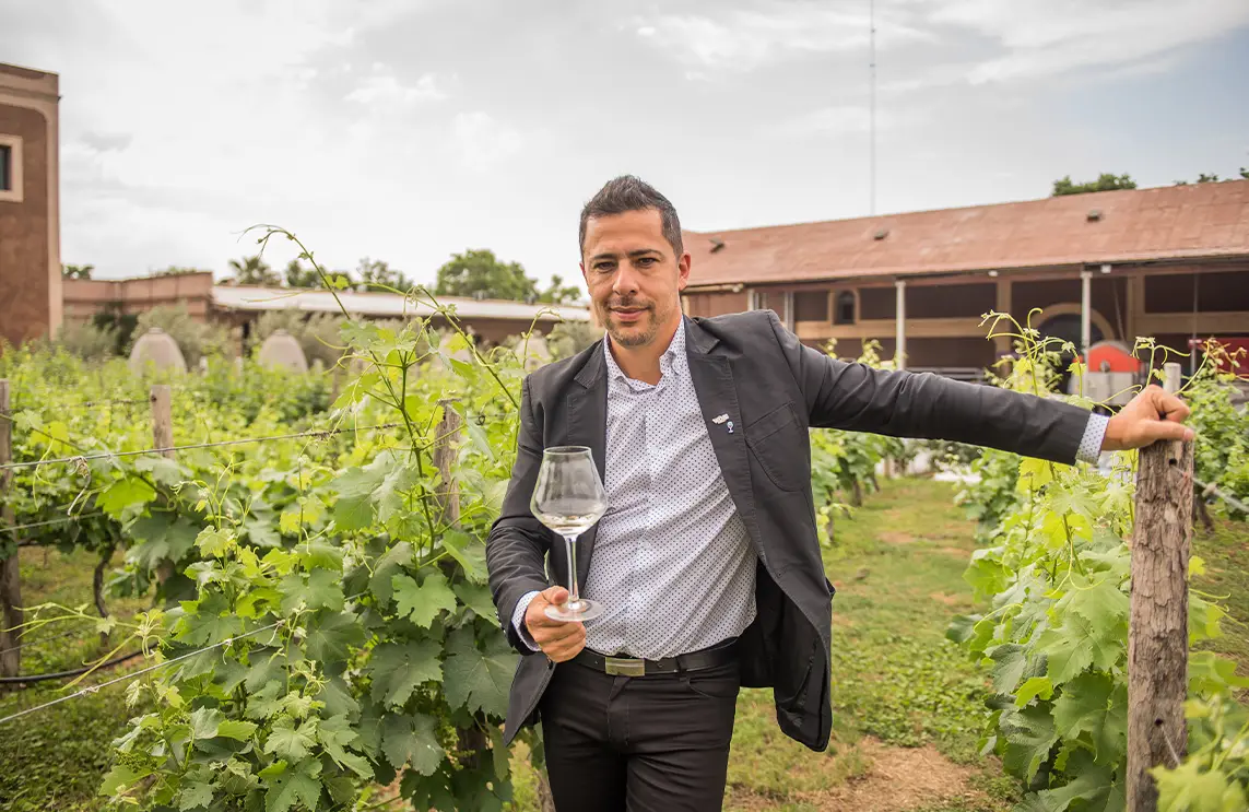 “El consumidor cambió mucho más rápido que la industria del vino”