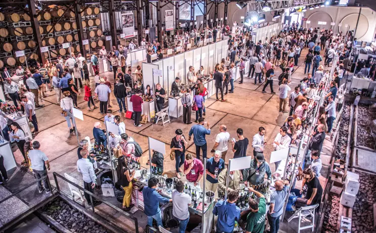 Expo Vinos y Negocios
