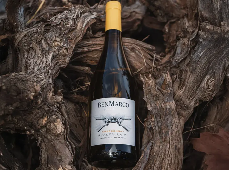 benmarco sin limites chardonnay