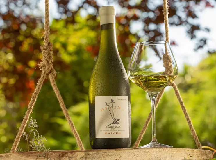 divina kaiken chardonnay