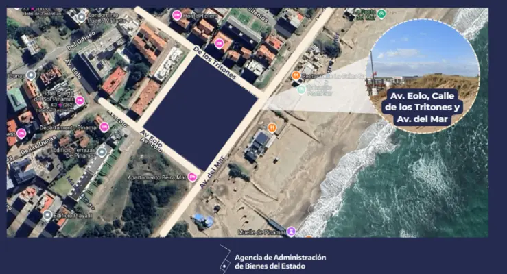 Subasta Pinamar