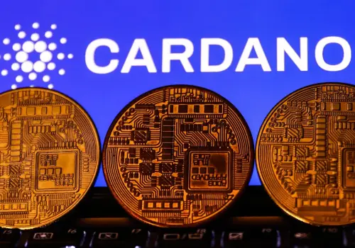 Primero Bitcoin y ahora Cardano: la cripto que llegó al podio global cae a su peor nivel desde 2021
