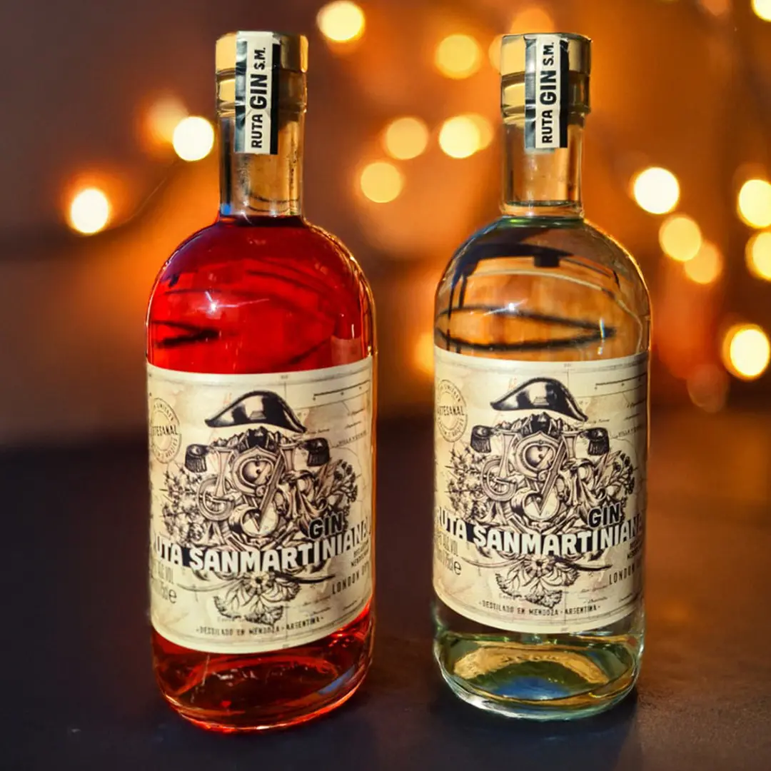 gin ruta san martiniana