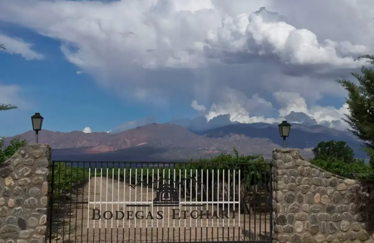 Molinos compra la última bodega que le quedaba a Pernod Ricard en la Argentina