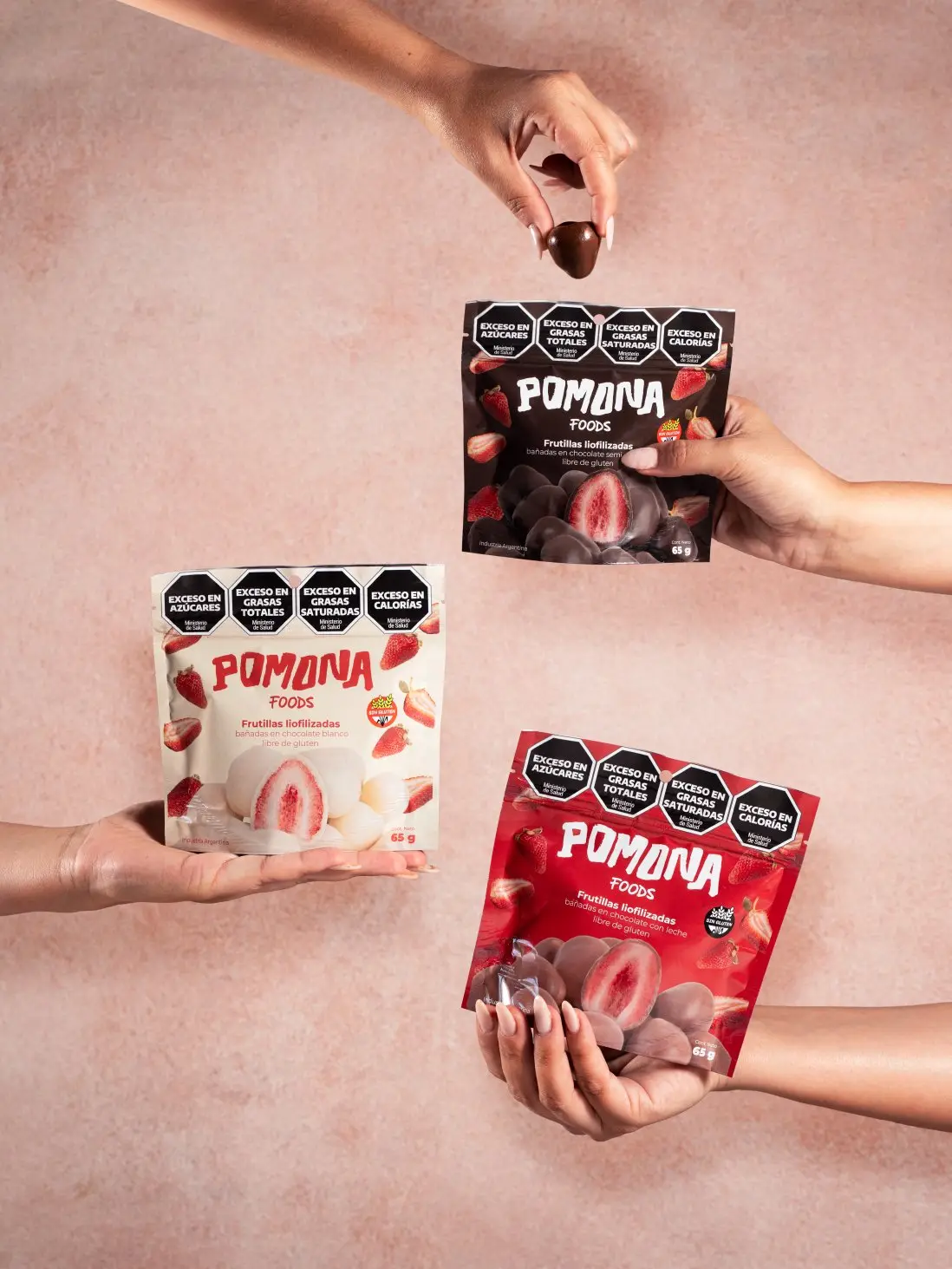 pomona chocolates (3)