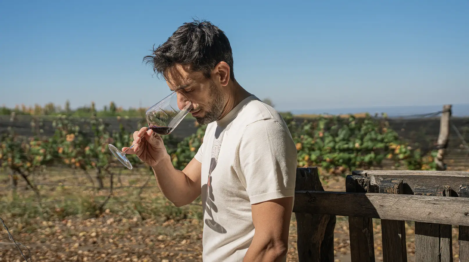 "Hay exceso de oferta de vinos y un déficit brutal de propuestas distintas", Mariano Braga, sommelier 