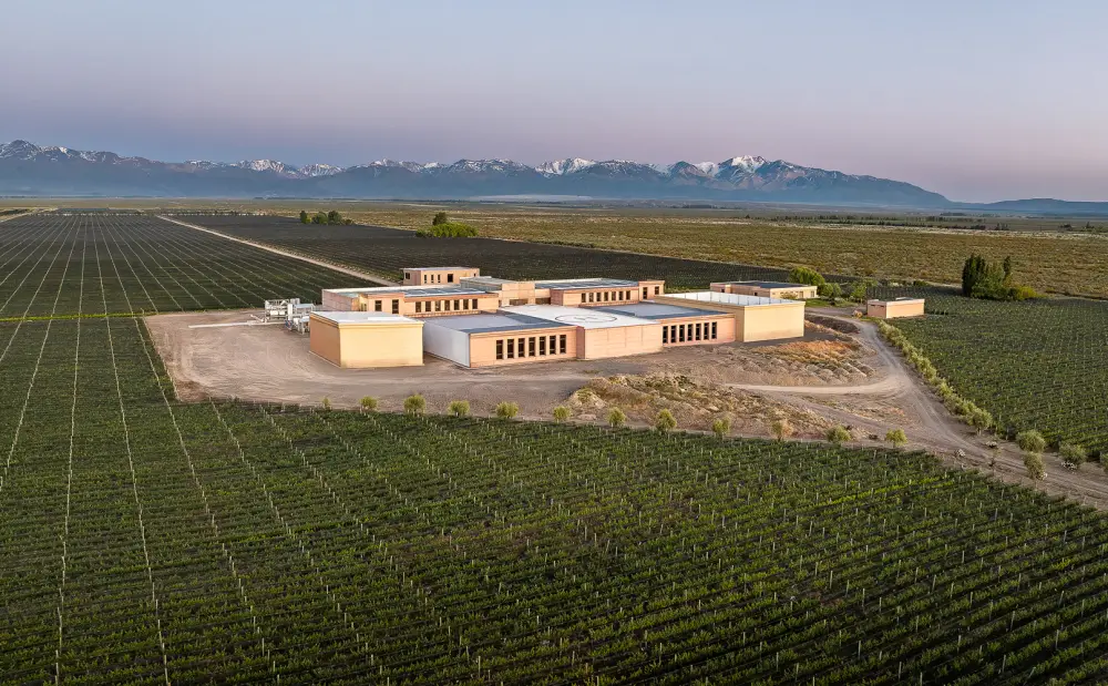 rutini wines vinedos gualta