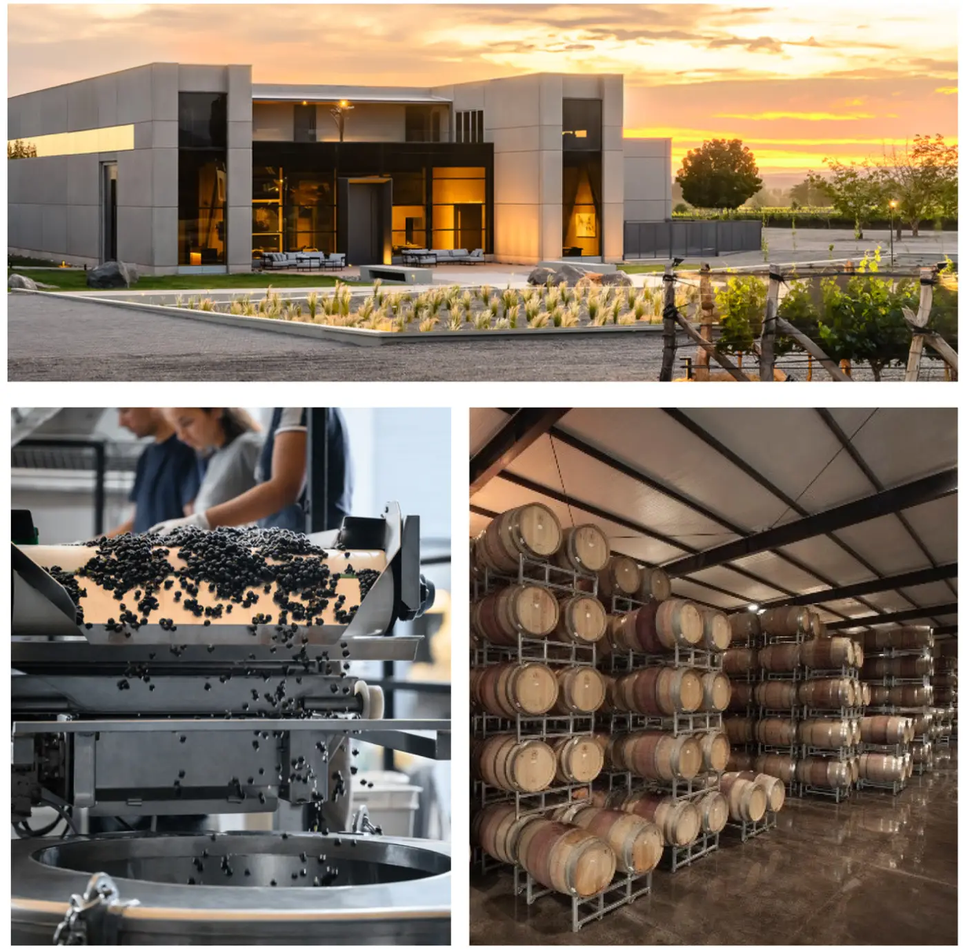 bodega cobos