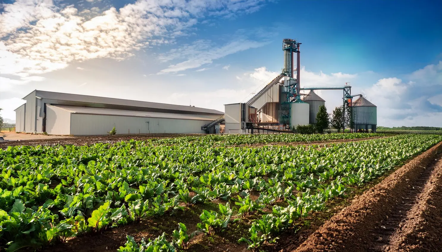 Agroindustria