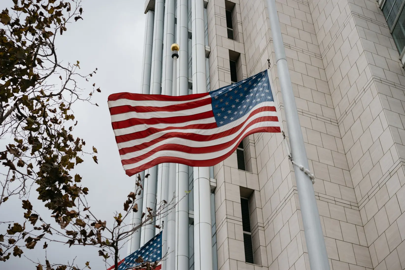 Estados Unidos (SE PUEDE USAR) Foto: Pexels