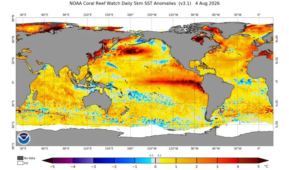 Temperatura Superficial del Mar (4 AGO), fuente: NOAA