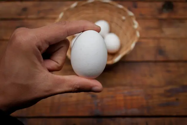 Una vista detallada de un primer plano de una mano sosteniendo un huevo blanco con una cesta de huevos sobre una mesa de madera.