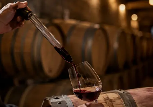 La era de los blends: cinco vinos que cuentan historias para descorchar el finde