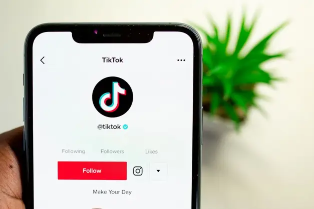 Vista en primer plano de una mano sosteniendo un smartphone que muestra la interfaz de la aplicación TikTok con la página de perfil. (Foto: Pexels)
