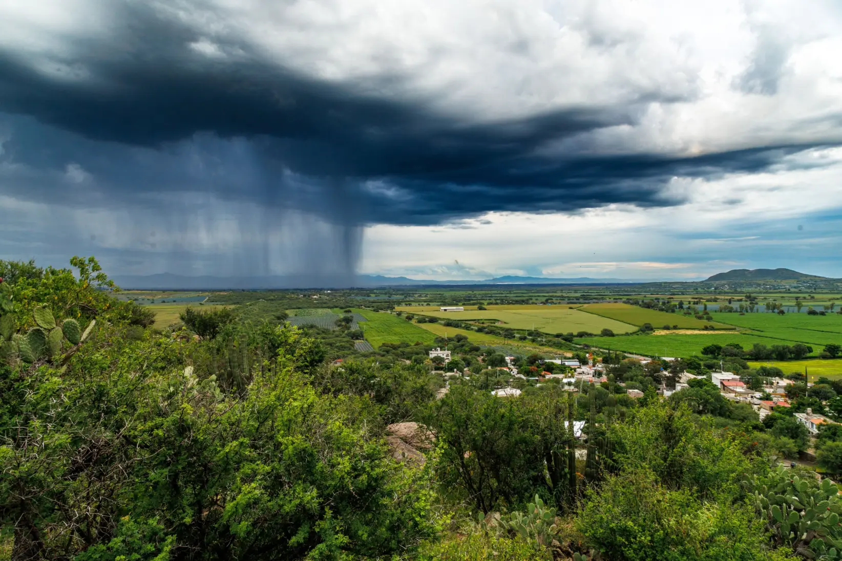 El Niño (Pexels)