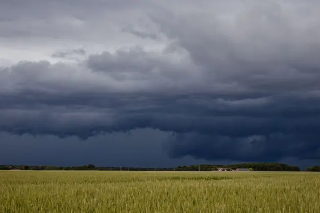 Nubes de tormenta oscuras se ciernen sobre un vasto campo de trigo, creando un paisaje celeste dramático. (Foto: Pexels)