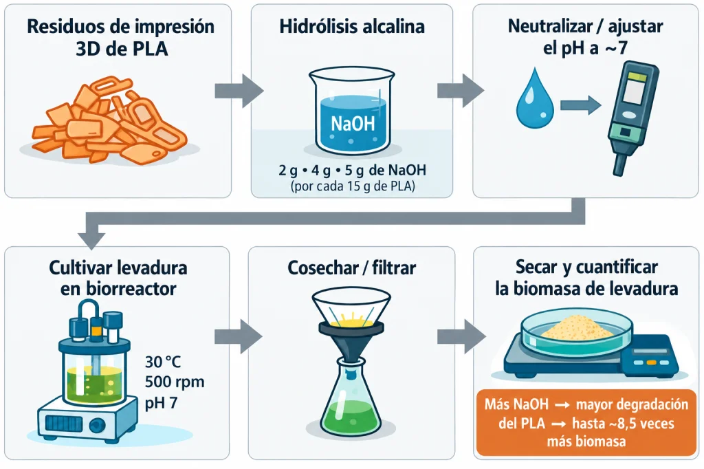 Proceso de transformar plástico en proteínas. - Foto: Forbes US traducida con IA.