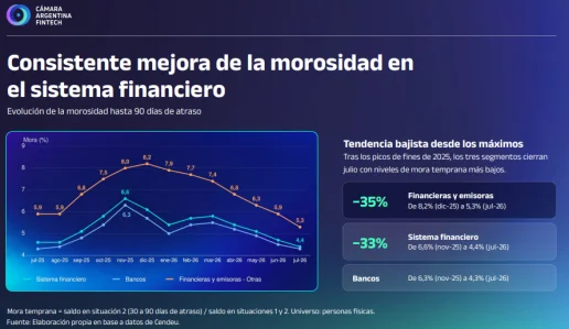Informe Cámara Argentina Fintech - .