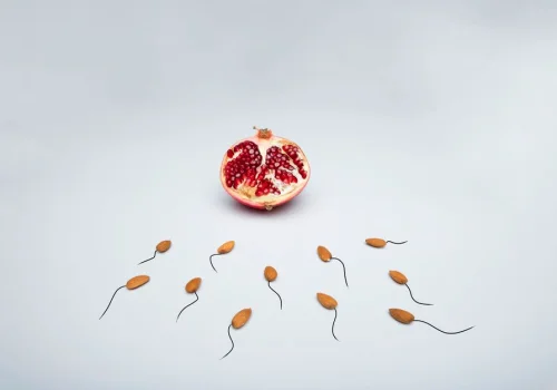 El negocio de la optimización reproductiva: cómo la crisis de fertilidad mueve millones