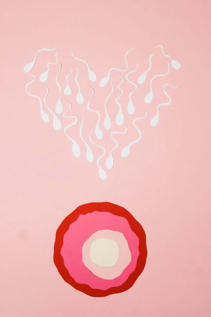 Ilustración abstracta de fertilización de espermatozoides sobre un fondo rosa.