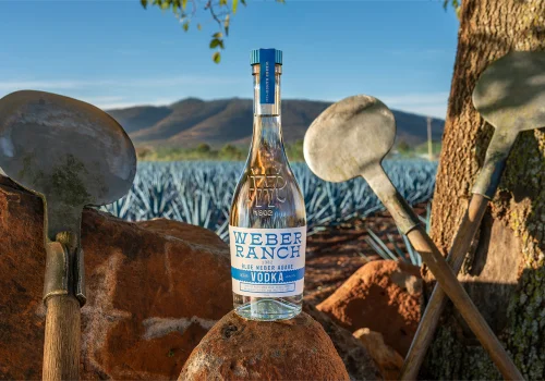 La historia del nuevo mejor vodka del mundo, según el San Francisco World Spirits Competition