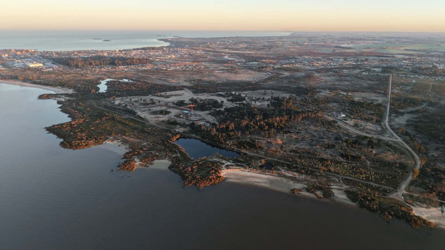 +Colonia - Gentileza